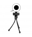 WEBCAM BALAM RUSH FHD1080P USB MICROFONO LUZ LED STELARCW750 BR-932974
